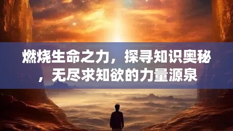 燃烧生命之力，探寻知识奥秘，无尽求知欲的力量源泉