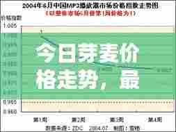 今日芽麦价格走势,最新行情分析报告