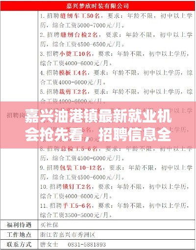 嘉兴油港镇最新就业机会抢先看,招聘信息全解析