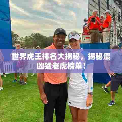 世界虎王排名大揭秘，揭秘最凶猛老虎榜单！