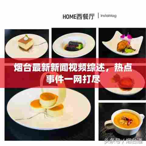 烟台最新新闻视频综述,热点事件一网打尽