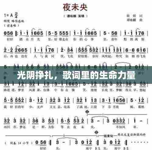 光阴挣扎,歌词里的生命力量
