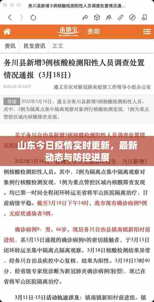 山东今日疫情实时更新,最新动态与防控进展