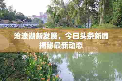 沧浪湖新发展,今日头条新闻揭秘最新动态