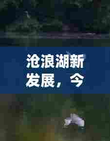 沧浪湖新发展,今日头条新闻揭秘最新动态