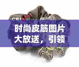 时尚皮筋图片大放送，引领潮流的发饰新风尚！