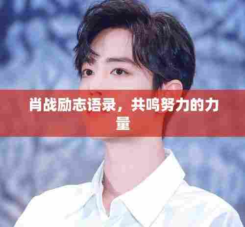 肖战励志语录,共鸣努力的力量