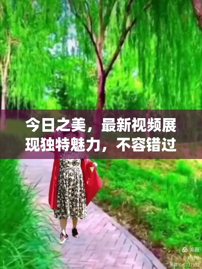 今日之美,最新视频展现独特魅力,不容错过!