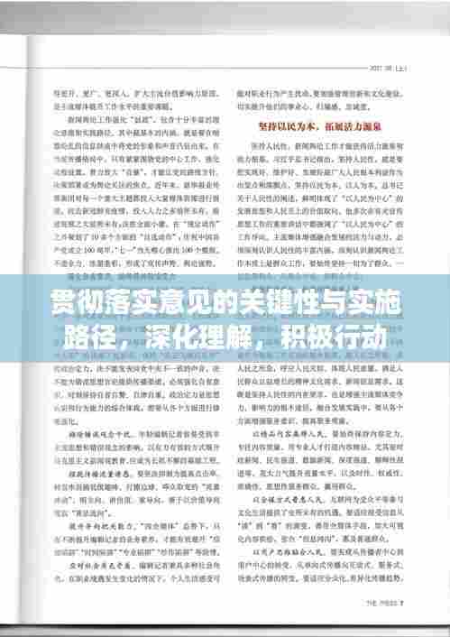 贯彻落实意见的关键性与实施路径,深化理解,积极行动