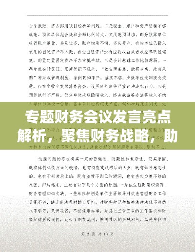 专题财务会议发言亮点解析,聚焦财务战略,助力企业发展!