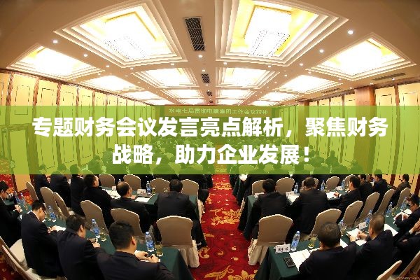 专题财务会议发言亮点解析,聚焦财务战略,助力企业发展!