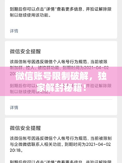 微信账号限制破解，独家解封秘籍！