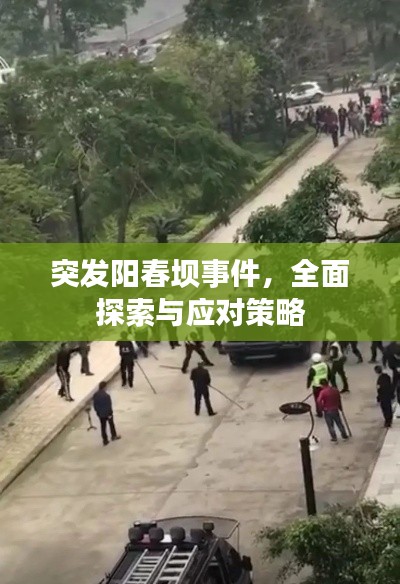 突发阳春坝事件,全面探索与应对策略