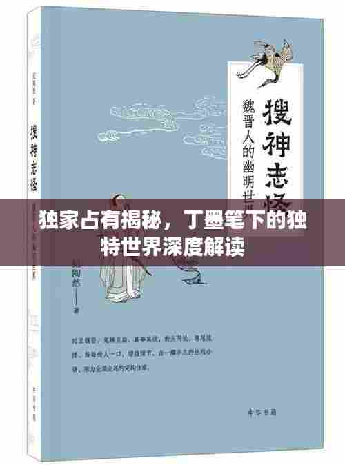 独家占有揭秘，丁墨笔下的独特世界深度解读