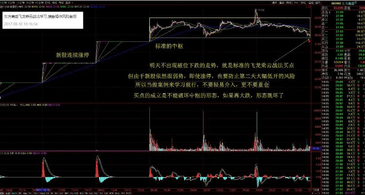 日飞星版本,定性分析说明|社交版_v2.775