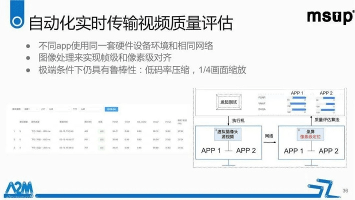 MG官方软件下载,专业级工具的综合评估与说明