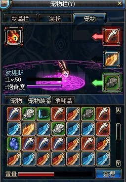 90版本dnf宠物,稳定评估计划方案&amp;创意版_v4.436