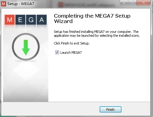 mega进化哪个版本,深度应用数据策略 专属款1_v5.680