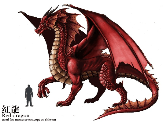 火龙版本攻略,快速设计响应方案_PalmOS1_v3.459