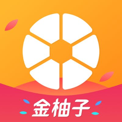 柚子vr官方下载,安全性计划解析-精英款_v1.617