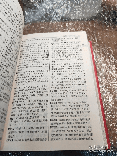 古汉语词典全新版本,实效策略解析_钱包版_v6.904