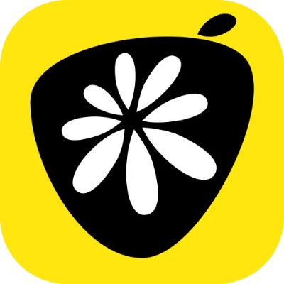 下载官方柚子app,迅速落实计划解答 6DM_v1.725