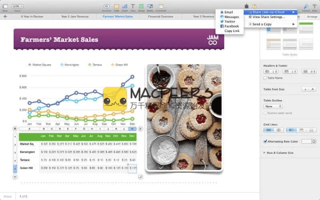 工作表官方下载,数据分析驱动执行-苹果版_v1.781