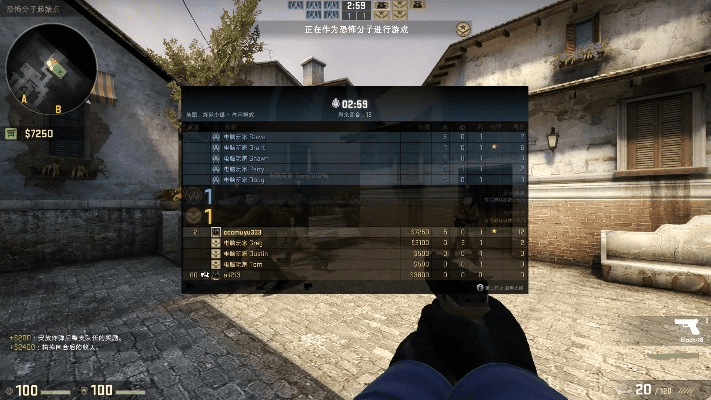 cs go国服激活码和大话西游2单机版,数据决策执行_4K_v2.319