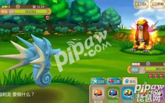 uzi激活码与口袋妖怪单机版坐骑,经典解答解释定义&amp;尊贵版_v7.686