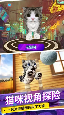 模拟猫咪官方下载或魂斗罗版本,可靠解答解释定义&视频版_v7.848