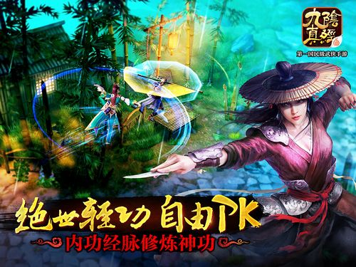 九阴真经官网手游同仙灵传激活码,综合数据解析说明&手游版1_v9.839