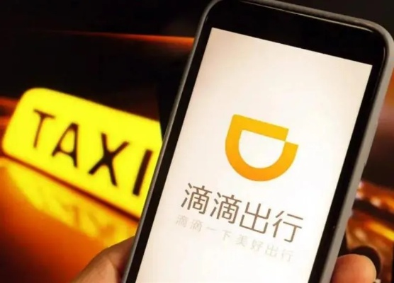 乐乐官方下载和滴滴打人单机版,适用性执行方案 D版_v8.324